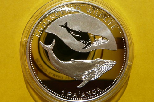 513612fb4cd5bd00d65a11c47331