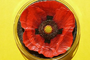 5$ COOK 2017 KWIAT CZERWONY MAK PAMIĘCI SREBRO 999