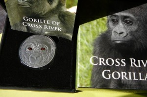 1000FR KAMERUN 2013-GORYL CROSS RIVER-Ag99-1000szt