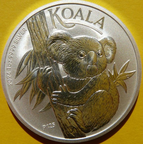 P1100494.JPG