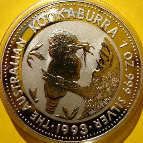 P1620326.JPG