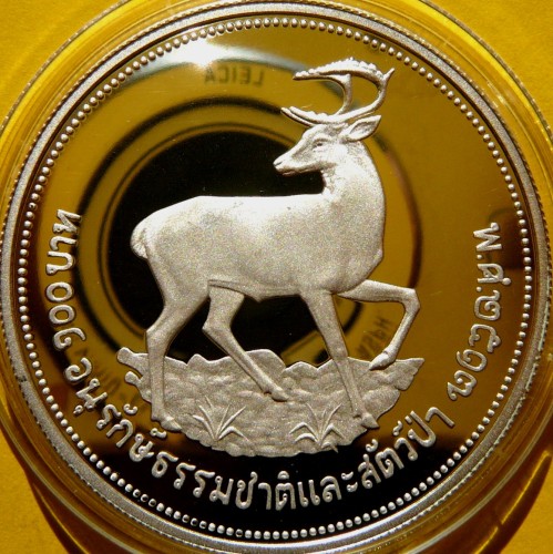 P1640783.JPG