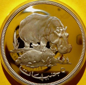 5 FUNTÓW SUDAN 1976 HIPOPOTAM ZAGROŻONE GATUNKI 