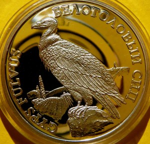 100 RUBLI NADDNIESTRZE 2005 SĘP PŁOWY ZAGROŻONE GATUNKI