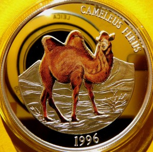 500 TUGRIK MONGOLIA 1996 WIELBŁĄD ZAGROŻONE GATUNKI