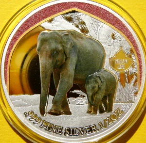 500 FRANK KAMERUN 2024 SŁOŃ INDYJSKI ŻYCIE W INDIACH Ag 999