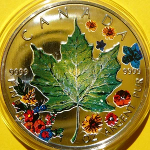 5$ KANADA 2001 LIŚĆ KLONU MAPLE LEAF PORY ROKU LATO