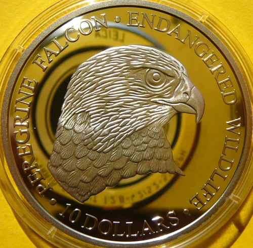 P1910947.JPG