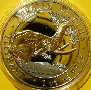 100 SHILL SOMALIA 2023 SŁOŃ AFRYKAŃSKI Ag 999 Oz ZŁOCONA 