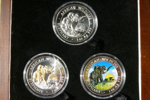 3 x 100 SHILL SOMALIA 2009 SŁOŃ AFRYKA ZWYKŁA ZŁOCONA KOLOR 3 X Oz