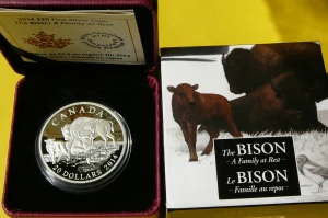 20$ KANADA 2014 BUFFALO DWA BIZONY I MŁODY SREBRO 999 UNCJA