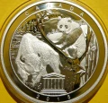 P1980759.JPG