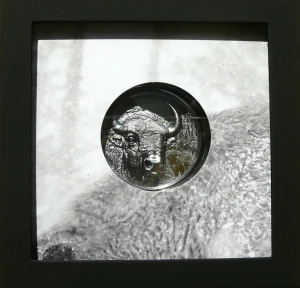 1000 TOGROG MONGOLIA 2025 BUFFALO WILD BIZON BLACK PROOF ULTRA HIGH RELIEF