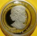 P2010581.JPG