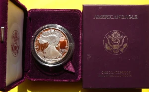 1$ USA 1991 S EAGLE BOGINI WOLNOŚCI LIBERTY SREBRO 999 PROOF
