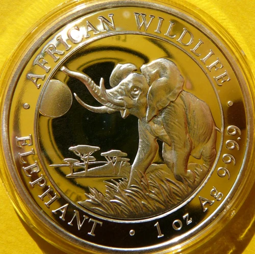 P2090989.JPG