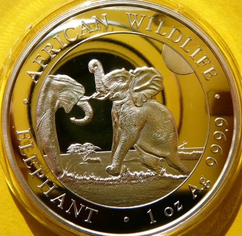 P2100003.JPG